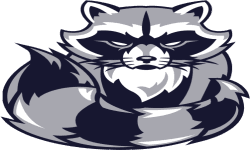 Raccoon Gaming(dota2)