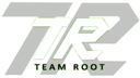 Team Root (dota2)