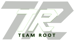 Team Root(dota2)