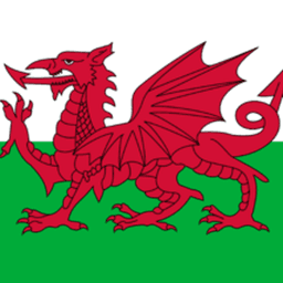 Wales(dota2)