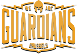 Brussels Guardians(lol)