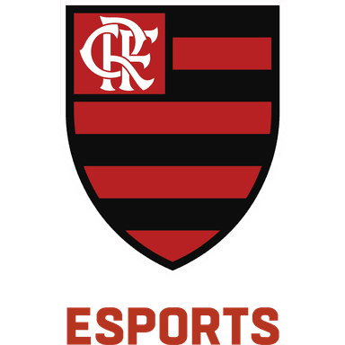 Flamengo Academy