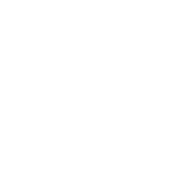 Ion Squad(lol)