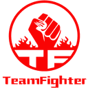 Team Fighter (lol)