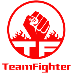 Team Fighter(lol)