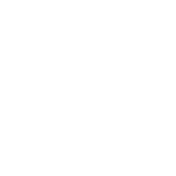 Vikings Gaming