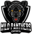 Wild Panthers eSports