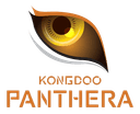 KongDoo Panthera (overwatch)