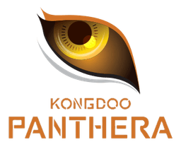 KongDoo Panthera(overwatch)
