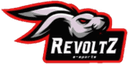 RevoltZ e-Sports Club (overwatch)