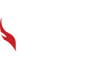 Shanghai Dragons(overwatch)