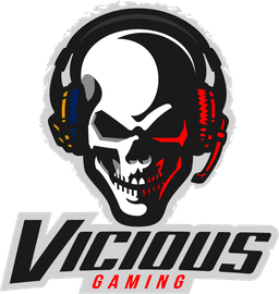 Vicious Gaming