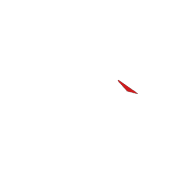 Wichita Wolves