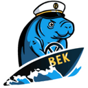 Balltic Esports Kiel Dugongs (rocketleague)