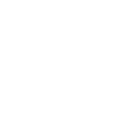 División de Honor Opening 2023 - Playoff