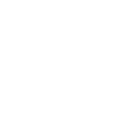 Dota2 Rainbow Cup