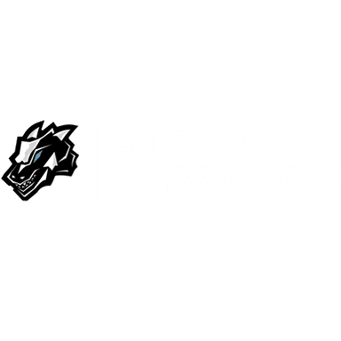 Project V: Split 3 - A1 eSports VALORANT Cup