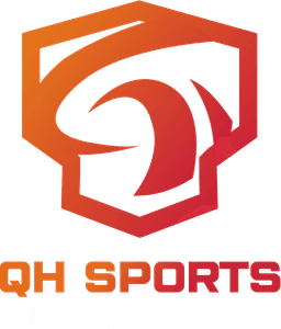 QH Sports Dota Series 2