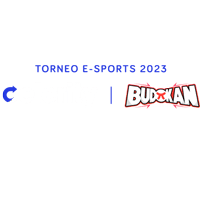 Torneo Celerity Budokan