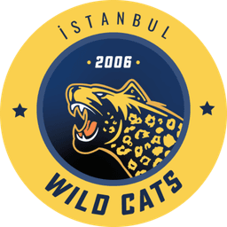 Istanbul Wildcats(valorant)