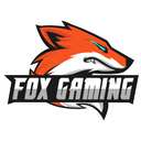 Fox Gaming (valorant)