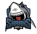 Sharks Esports (valorant)