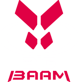 Team Big BAAM(valorant)