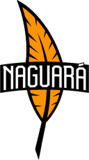 Naguara Team (wildrift)