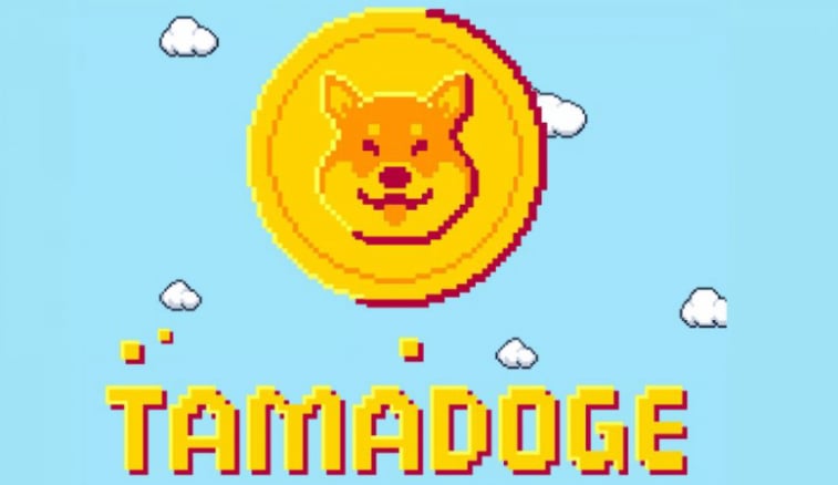 Tamadoge — outra tentativa de hype em Dogecoin ou uma grande novidade no mundo dos jogos NFT-? - Blog de esportes e jogos de computador | EGW