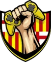 BSC eSports Team
