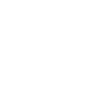 Team Vitality