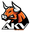 AKV E-Sports AKV E-Sports