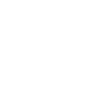 Aorus Vision