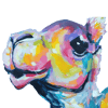 Candy Camel