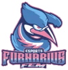 Furnarius Fem