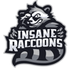 Insane Raccoons