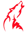 RDW Esports Femme