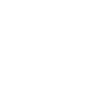 Team ANO
