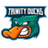 Trinity ducks