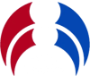 Evo Esports