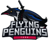 Flying Penguins