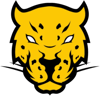 Jaguares Gaming