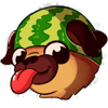 Perro Sandia
