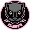 Sport Boys Esports