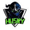 Team Husky (CN)