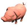Team Pig Pole