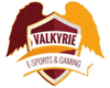 Valkyrie eSports Gaming