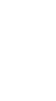 Warriors of the World