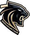 Dominator Esports