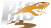Big3